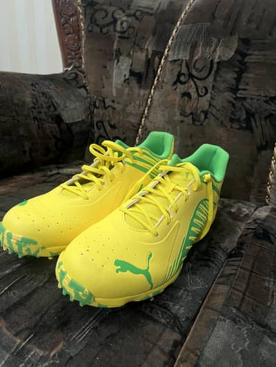 Puma Cricket Gripper Shoes