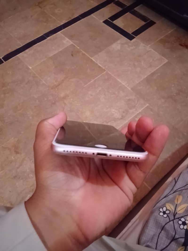 Apple iPhone 8 Plus 3