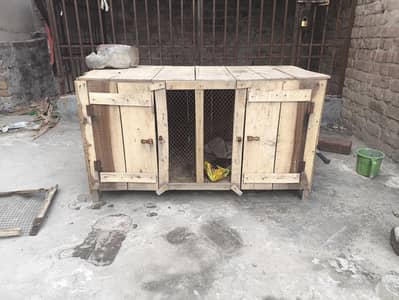 Hen cage