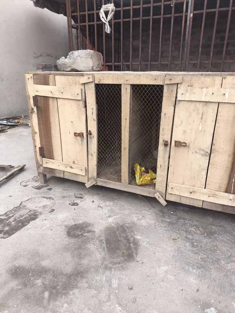 Hen cage — photo 2
