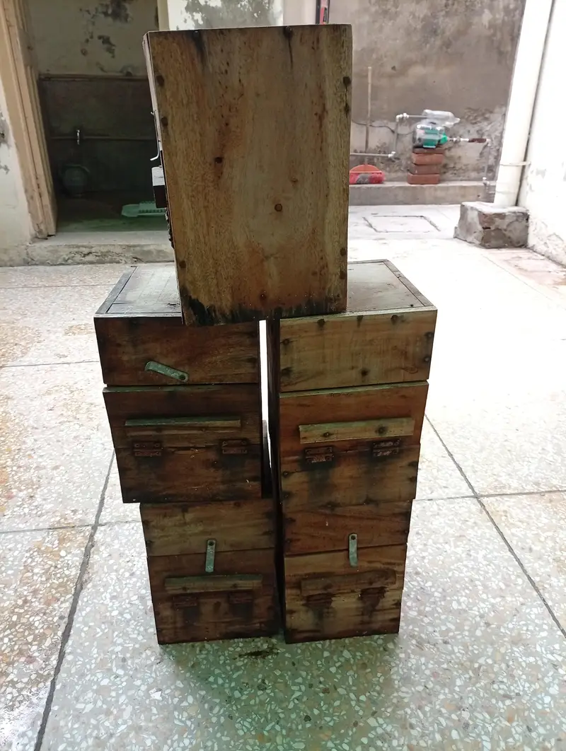 Love Birds Boxes — photo 2