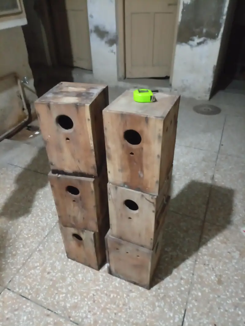 Love Birds Boxes — photo 3