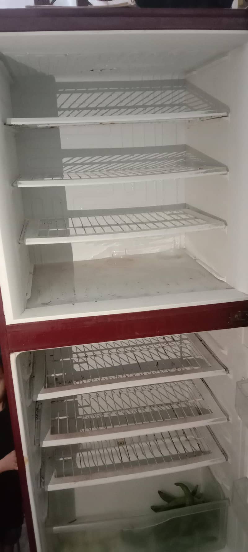 fridge 1