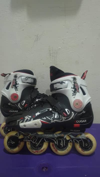 skating shoes