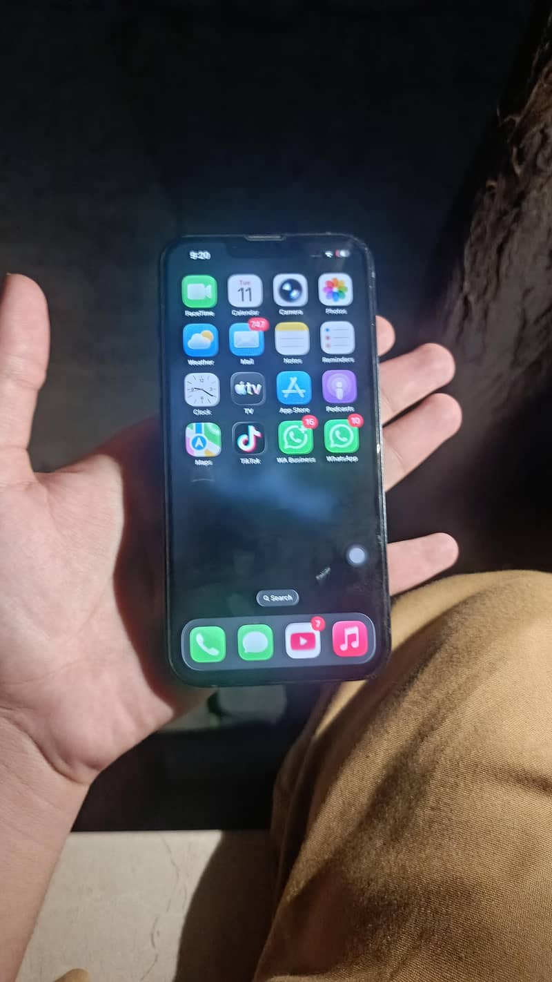 Apple iPhone 13 0