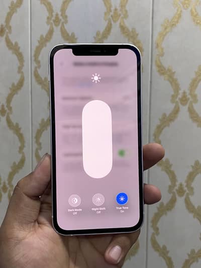 Apple iPhone 12 PTA 128