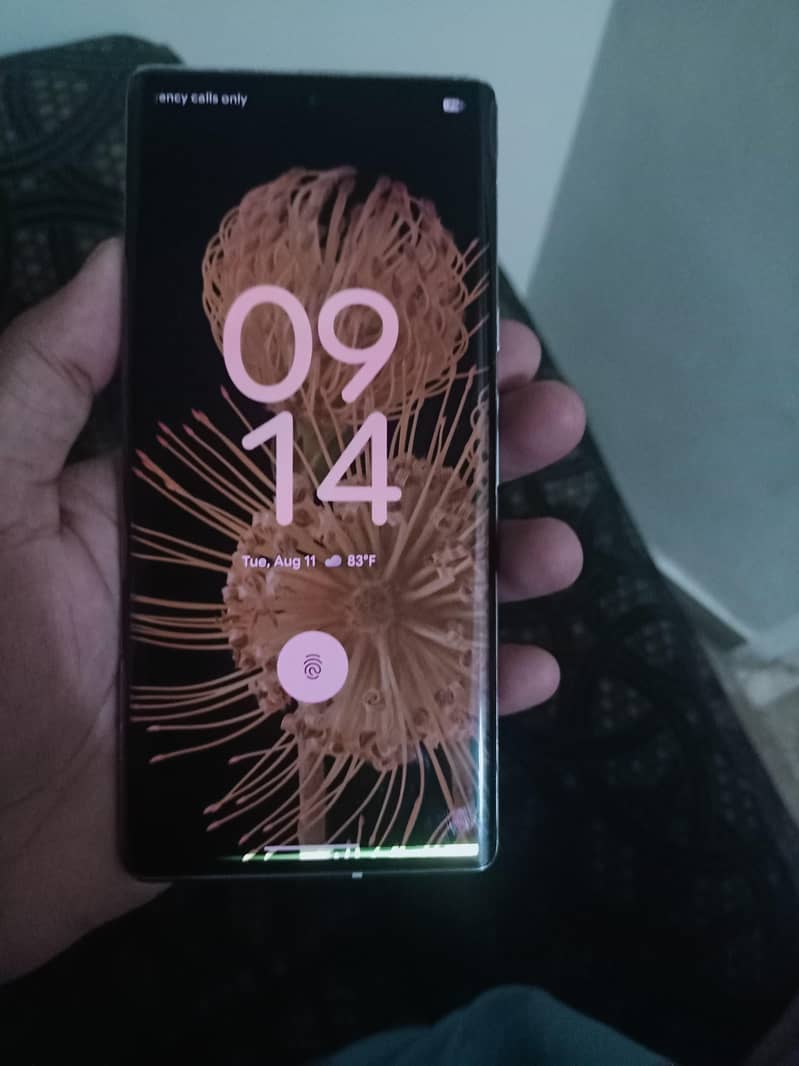 Google Pixel 6 Pro 2