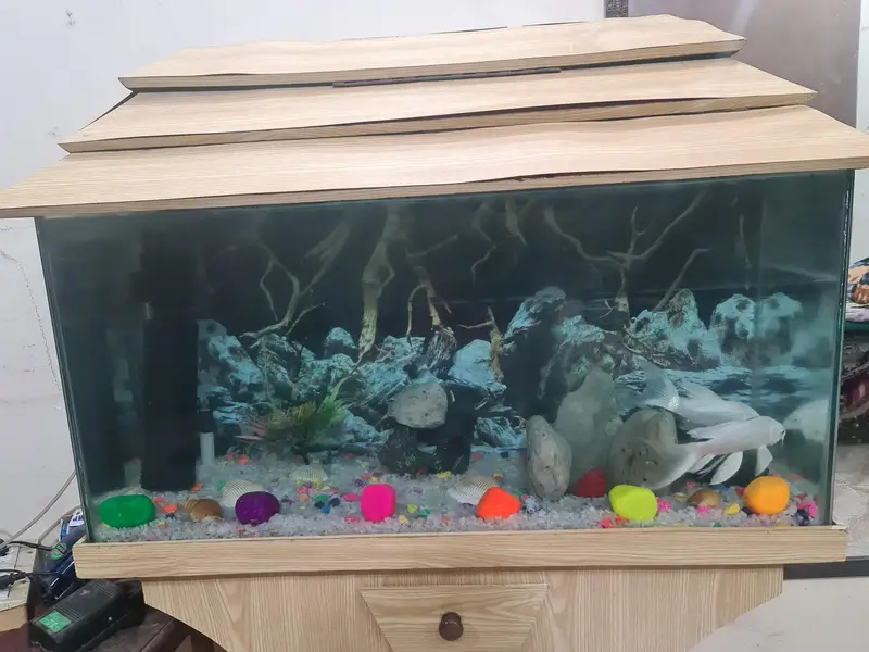 fish Aquarium — photo 7