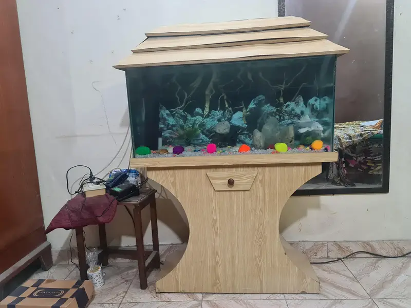 fish Aquarium — photo 8