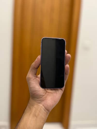 Apple iPhone 12 mini