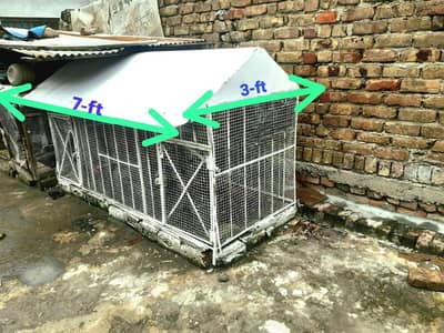 Hen Cage for sale