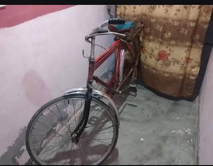 srab cycle 2