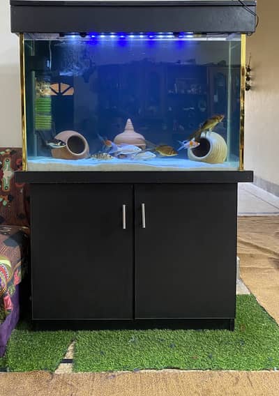 Aquarium with All Accessories & Fishes