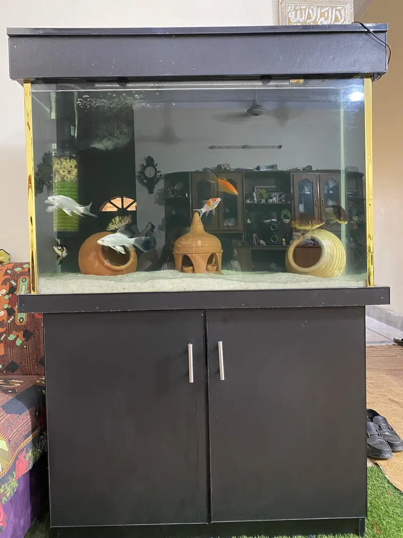 Aquarium with All Accessories & Fishes — photo 3