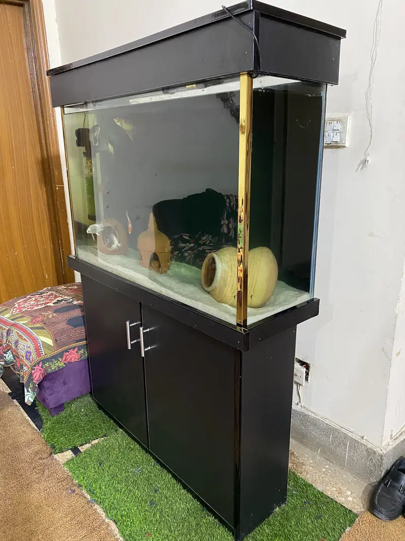 Aquarium with All Accessories & Fishes — photo 4