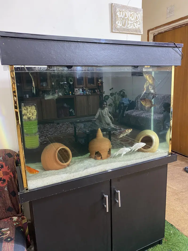 Aquarium with All Accessories & Fishes — photo 5