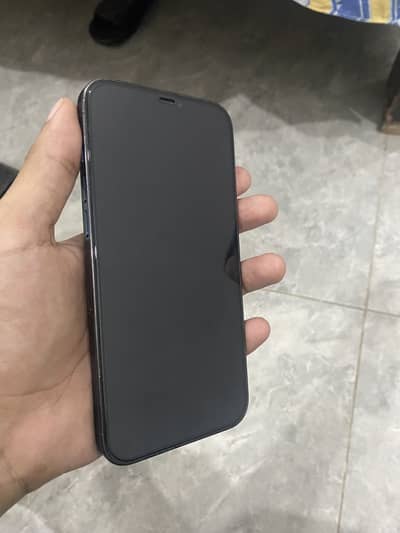 Apple iPhone 12 Pro Max