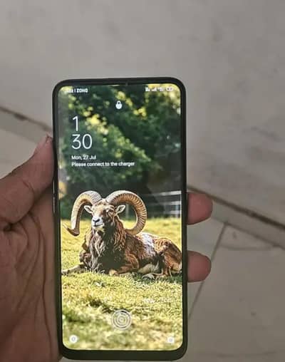 OPPO Reno