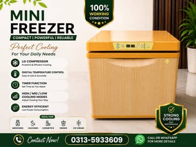 Mini Freezer