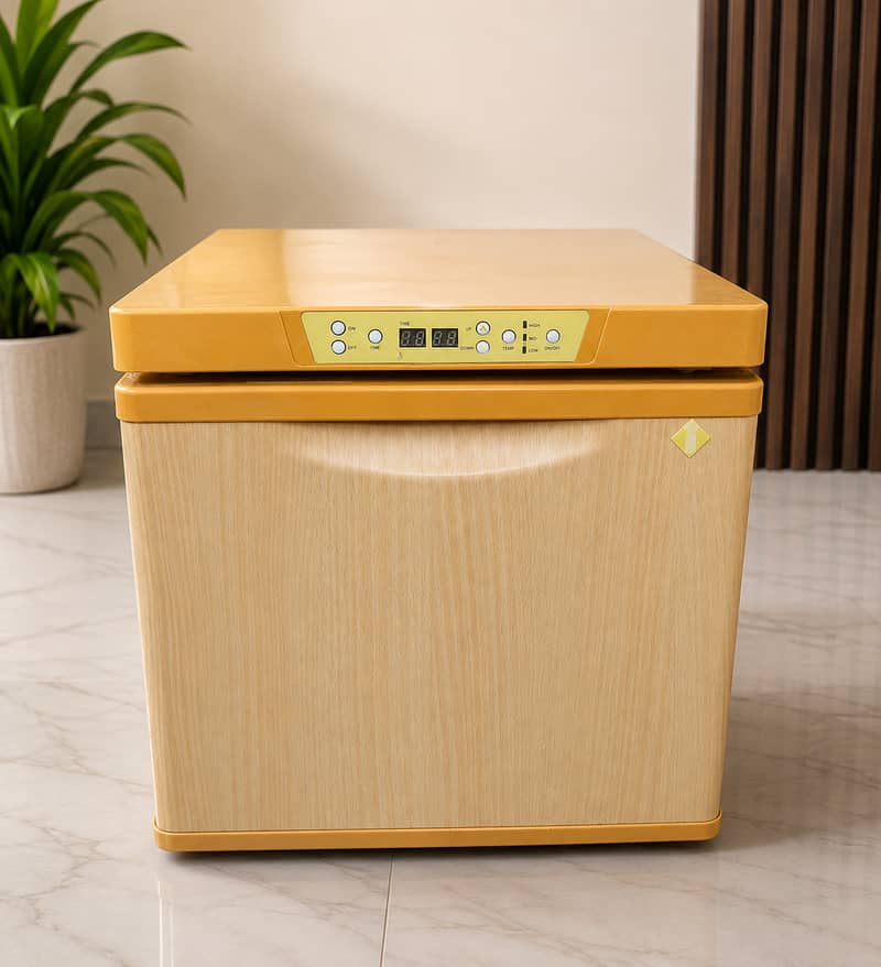 Mini Freezer 1