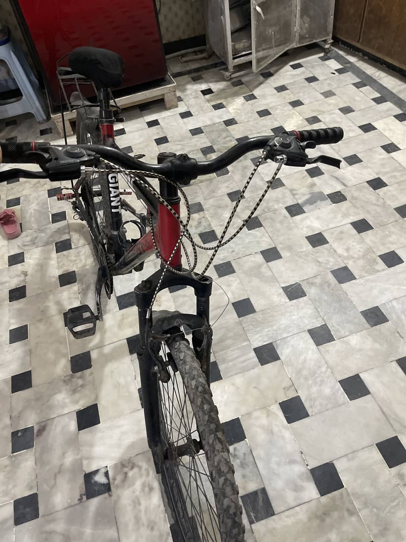 Cycle 3
