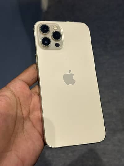 Apple iPhone 12 Pro Max
