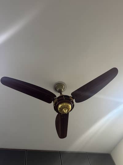 Parwaz fan 9 pcs  brand new condition non DC