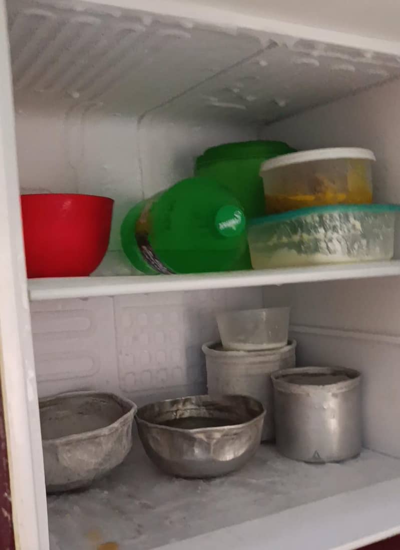 fridge 5