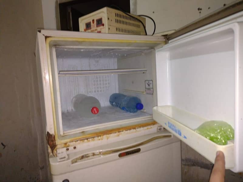 freezer 6