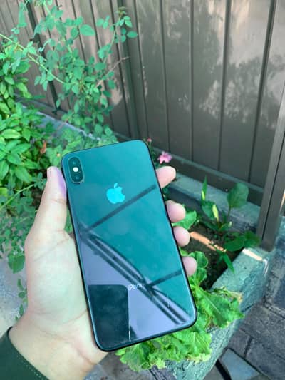 Apple iPhone XS Max pta approve 256