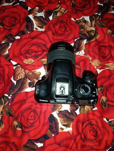 Canon EOS 1200d condition 10 by 10