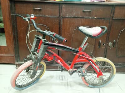 Bicycles For Girls & Boys