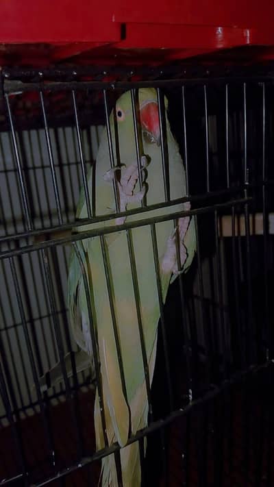 for sale per pic fianl 3500 03094654348
