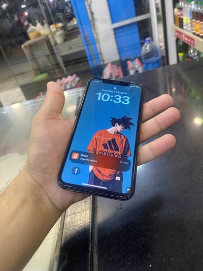 Apple iPhone X