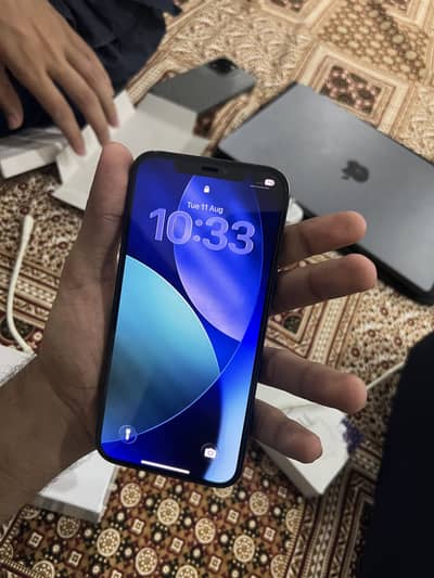 Apple iPhone 12 Pro Max