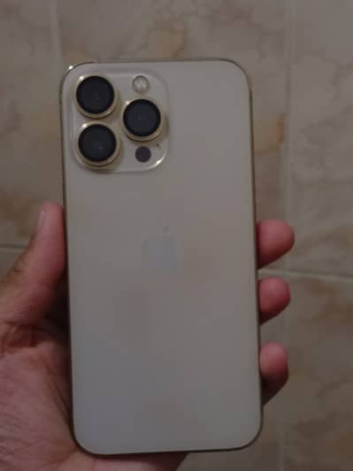 13 pro