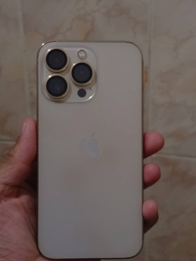 13 pro 1