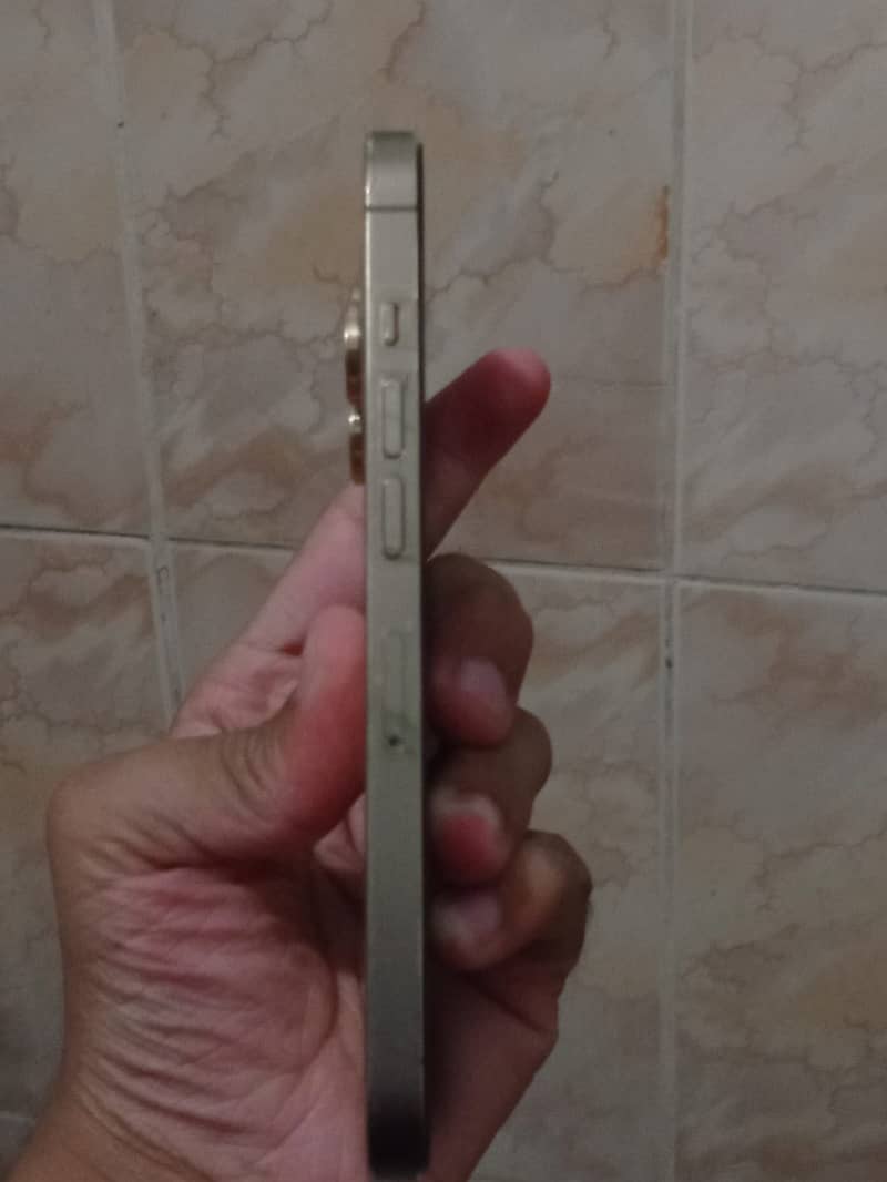13 pro 2