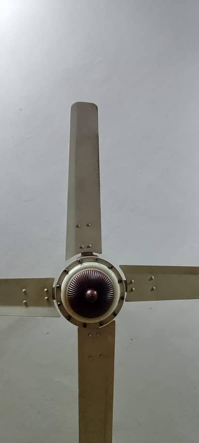 Royal Fans Copper waring