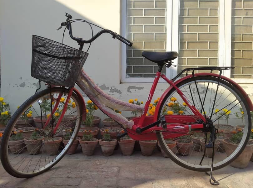 imported Bicycle 1