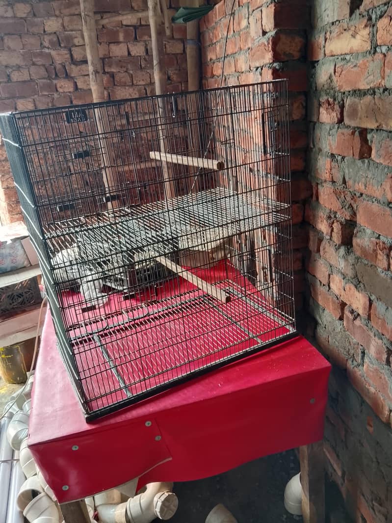 cages 1