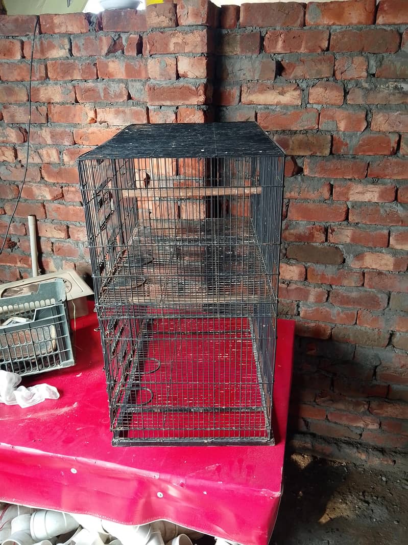 cages 2