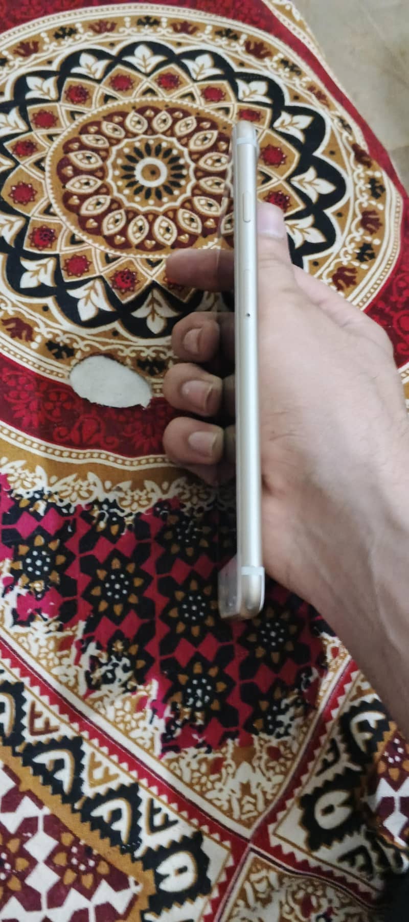 Apple iPhone 7 Plus 5