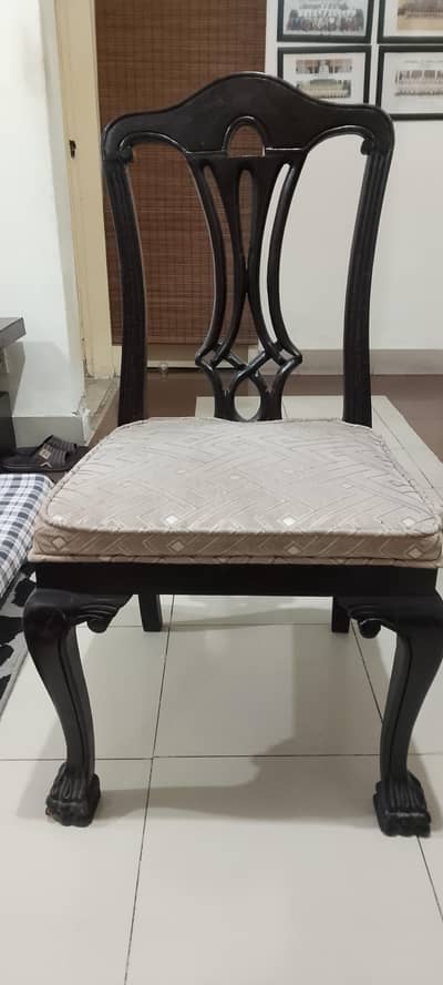 Dining Chairs