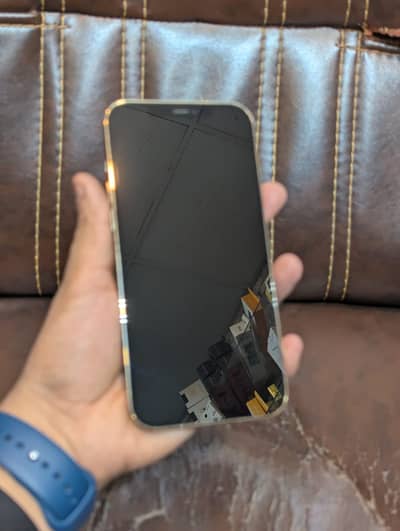 Apple iPhone 12 Pro Max