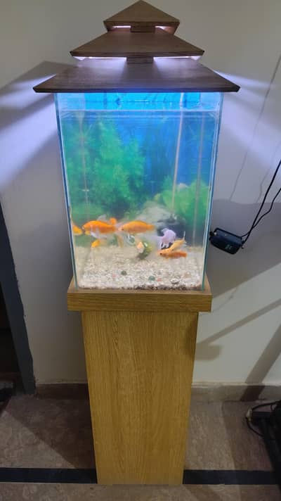 Aquarium for sale