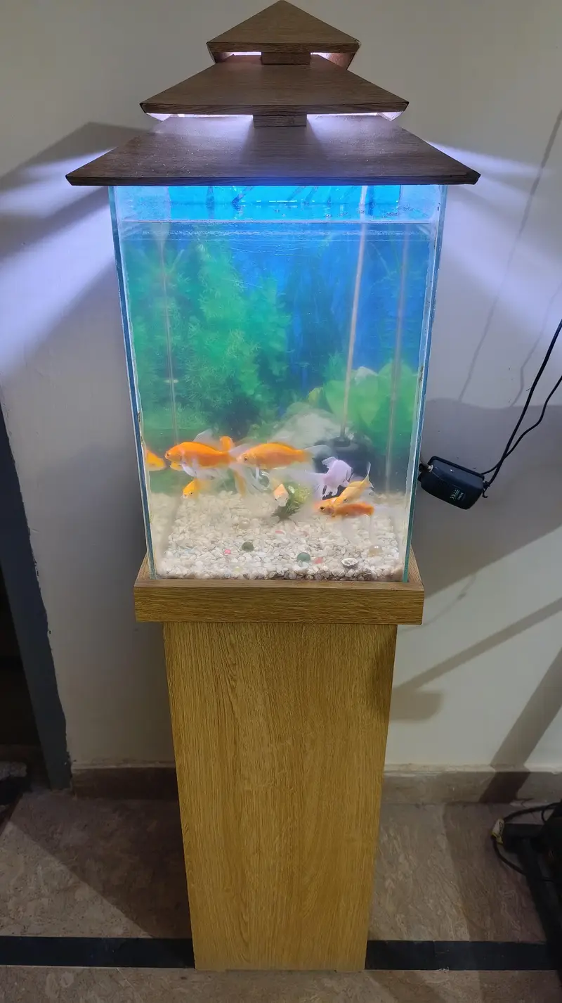 Aquarium for sale