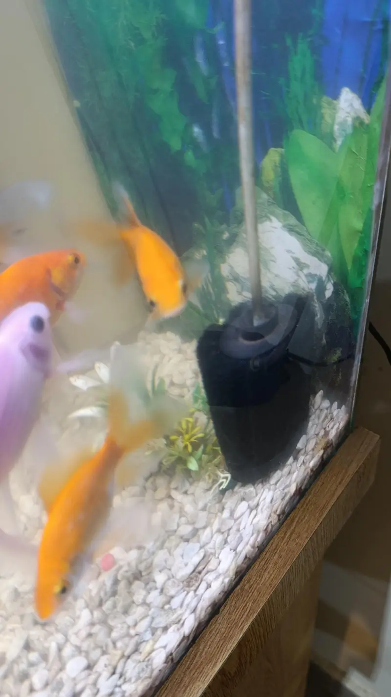 Aquarium for sale — photo 3