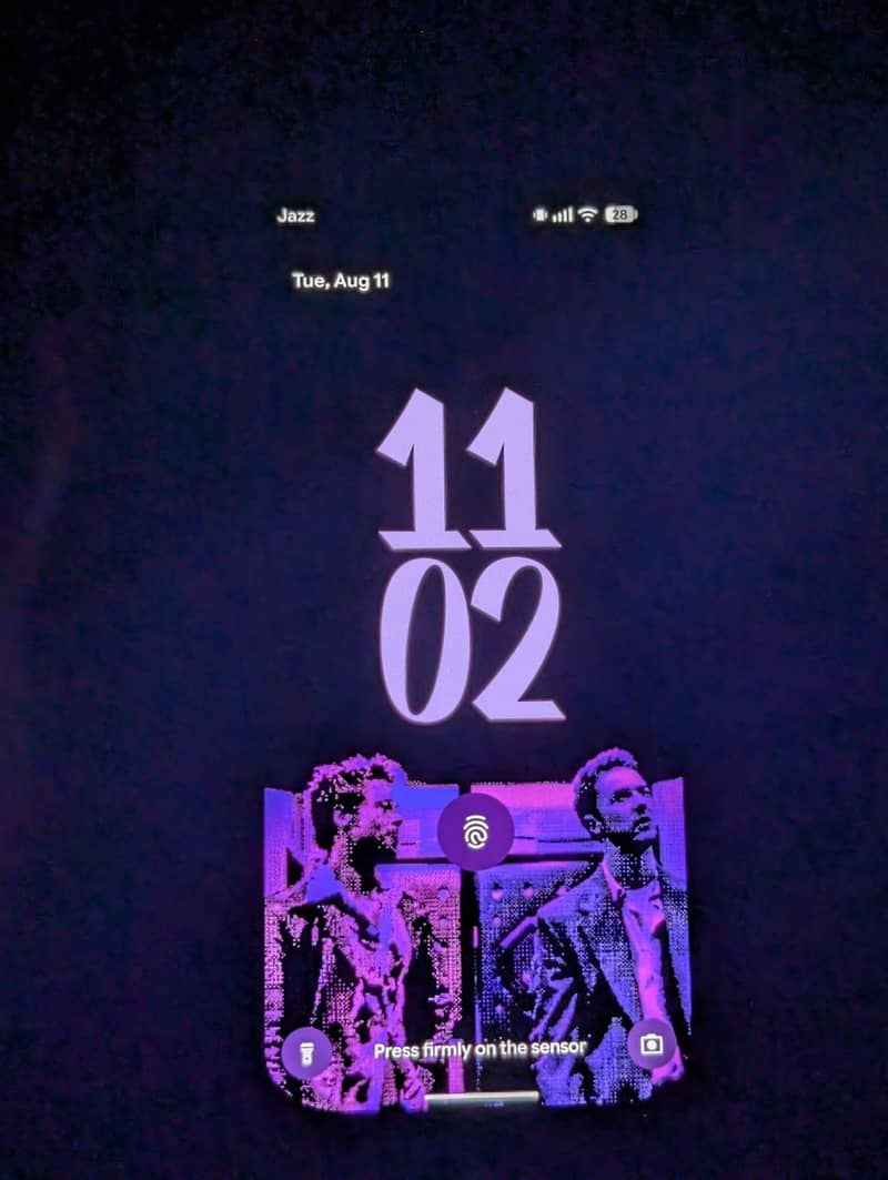 Google Pixel 7 ONLY PANEL! 3