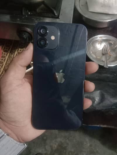 Apple iPhone 12 Factory Unlock